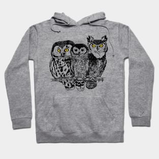 Three owls Hoodie